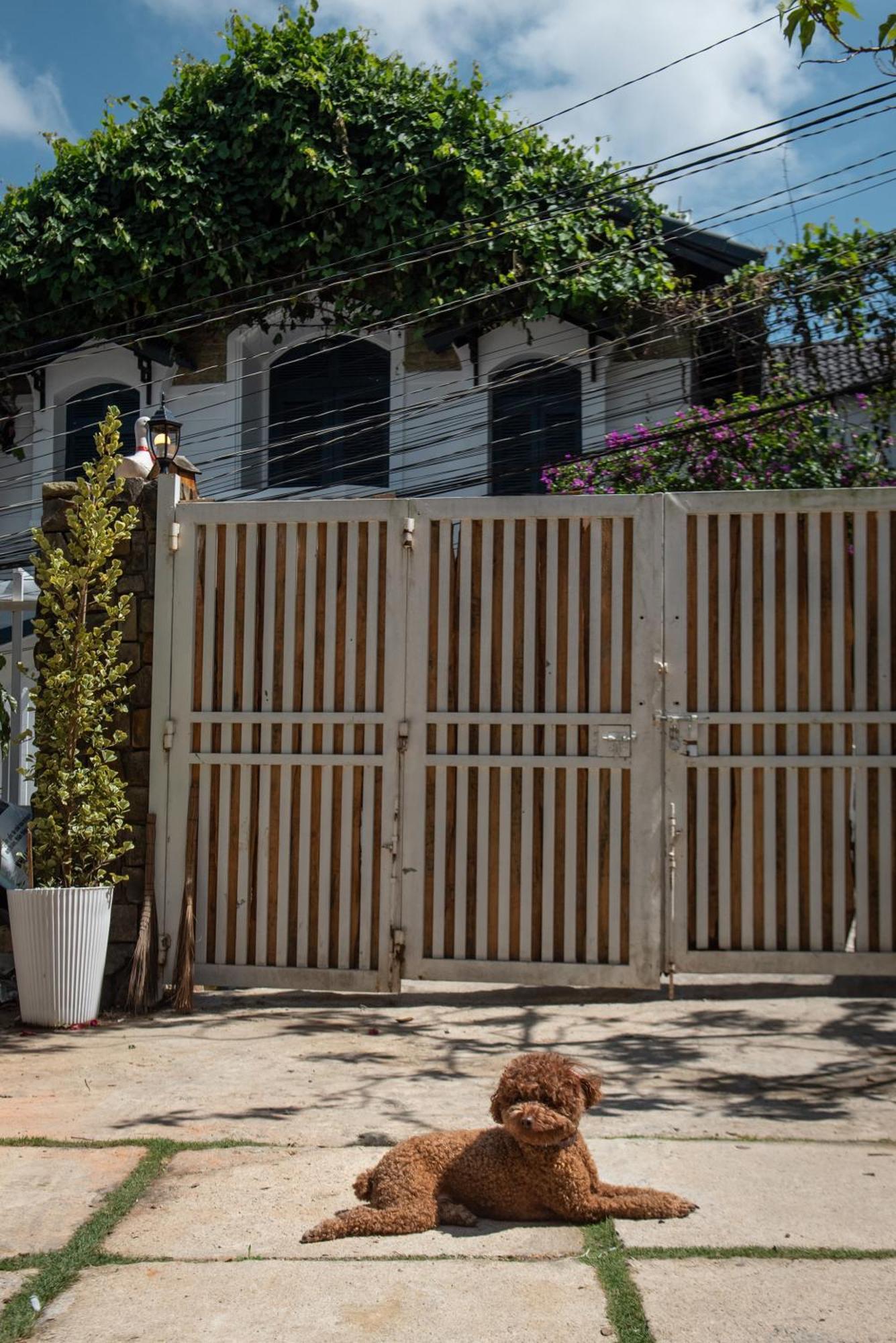 Chai Nho Homestay Đà Lạt Ngoại thất bức ảnh