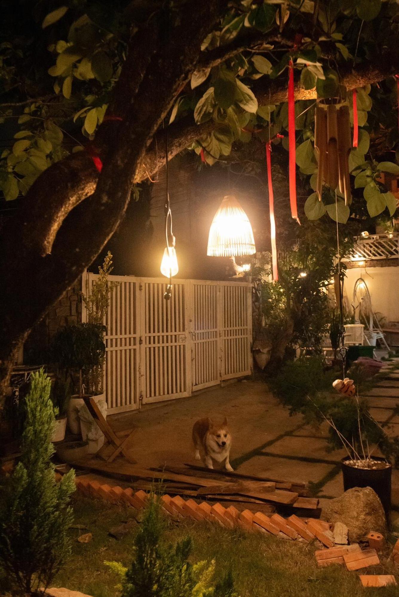 Chai Nho Homestay Đà Lạt Ngoại thất bức ảnh