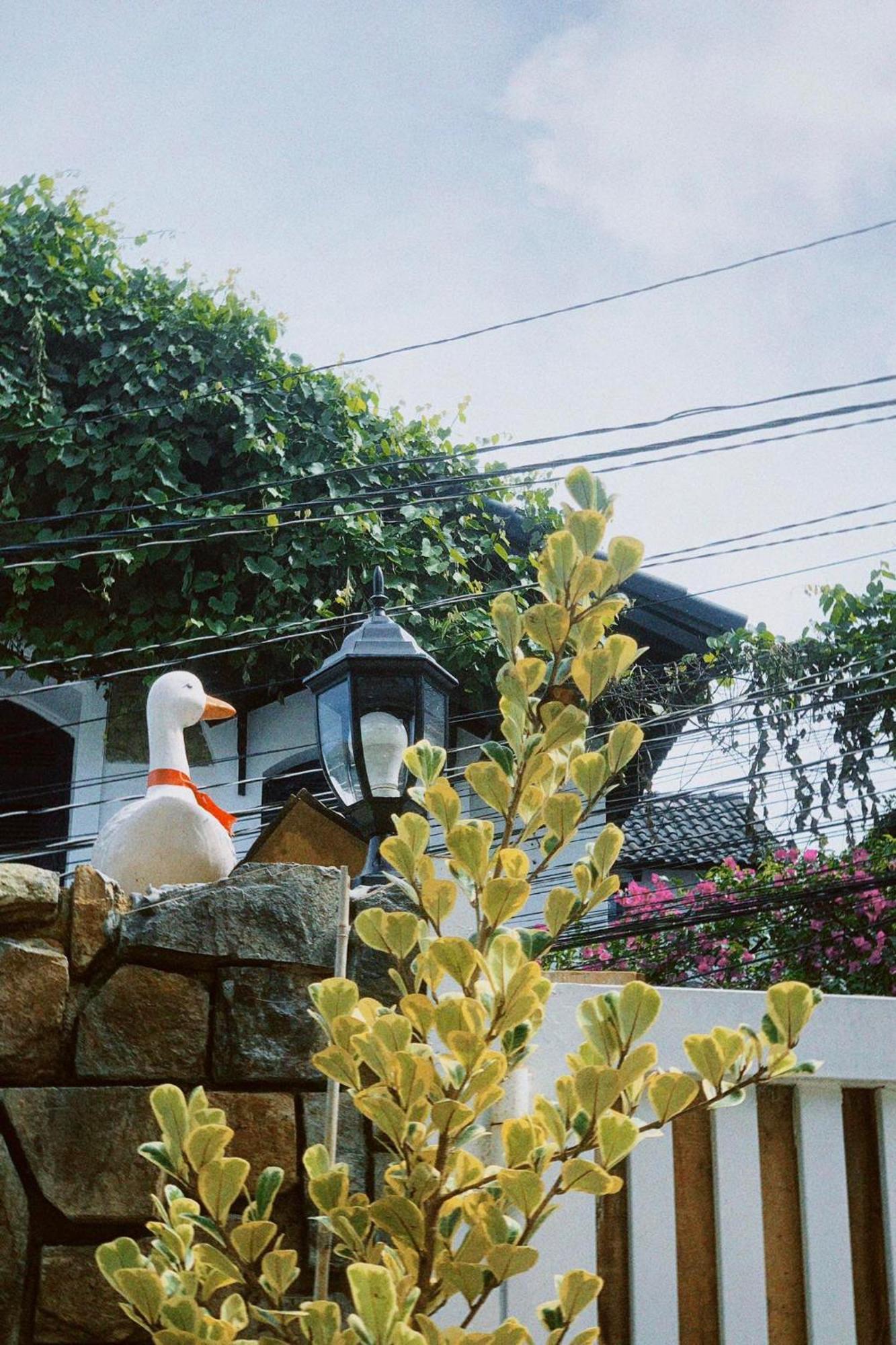 Chai Nho Homestay Đà Lạt Ngoại thất bức ảnh